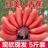 颜曼箐海南红皮香蕉新鲜当季自然熟小红香焦红美人粉蕉芭蕉大果水果整箱 5斤