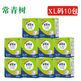 常青树成人纸尿裤男女大号老人用尿不湿老年人用大人护理 XL码10片*整箱10包