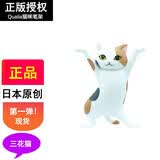 当礼达日本Qualia妖娆猫咪笔架摆件举笔猫办公室桌面装饰生日礼物送女友 三花猫【第一弹】正版扭蛋
