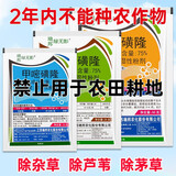 瑞邦75%甲嘧磺隆除草剂铁路公路荒地墓地杀除杂草烂根农药除草剂 50g