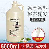 大瓶装沐浴露促销5000ml留香酒店宾馆洗浴家用大桶沐浴乳洗发hu发发膜 洗发水 5000ML