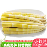 望田源竹笋 新鲜春笋嫩笋尖原味小竹笋500g清水笋火锅蔬菜食材江西特产 500g嫩笋尖*3袋【常规款】