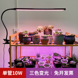 迈睿星全光谱led植物生长灯仿太阳光多肉花卉室内家用植物补光灯 1头/循环定时/usb接口