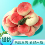 绿养道【现货,个头偏小】北京平谷扁桃 平谷蟠桃 新鲜水果 鲜桃 蟠桃5斤
