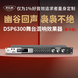 麦乐迪DSP6300卡拉ok混响器 数字音频前级效果器 家庭影院防啸叫调音台处理器含话筒 调音台均衡器 DSP6300专业K歌效果器豪华版 标准版