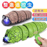 遥控毛毛虫玩具电动整蛊爬行小虫子儿童仿真昆虫动物恶作剧小礼物 电动遥控毛毛虫【青绿色】 配螺丝刀+电池6粒