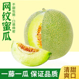 网纹蜜瓜2024冰淇淋当季新鲜水果甜瓜整箱玫珑海阳静冈蜜瓜 网纹蜜瓜5斤(约2个)送勺子 优选装