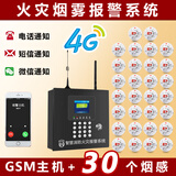 DFA物联网烟雾报警器消防专用烟感器火灾自动报警系统仓库酒店烟感器 智慧消防主机+消防烟感×30