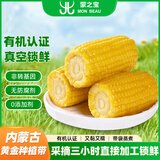 蒙之宝 MON BEAU 内蒙有机甜糯玉米150g+-10g x8棒1.2kg 真空锁鲜源头直发包邮