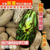 精品千眼菩提子原籽原料胖果大果手把件翡翠绿果白色文玩手串佛珠 精品新果7-8厘米5个送砂纸抛光