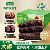 华田禾邦【大棒16根】东北黑糯玉米6.4~8斤 新鲜甜黏玉米粒 早餐苞米 烧烤