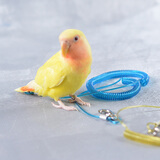 闪兔  鹦鹉鸟用训练放飞绳遛鸟玄凤小太和尚鸟儿飞行绳鹦鹉脚链脚环  牡丹横斑(5号脚环)+3米细绳