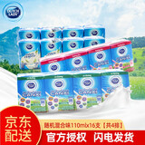 子母（DUTCH LADY）越南进口子母奶 原味草莓酸奶味牛奶110ML纯牧纯牛奶盒装营养饮料 【随机混合味110mL*4排】16支