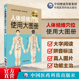 人体经络穴位使用大图册  彩色大字 北京中医药大学郭长青教授 中医养生 中医推拿按摩学书籍手法图解 人体穴位书籍 经络图 人体经络图大图 人体穴位经络图 穴位经络图