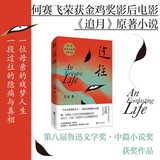 过往（第八届鲁迅文学奖获奖作品！精装插图版，一个另类母亲的感人故事；改编电影由何赛飞、袁文康主演）