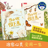 当小脚慢下来+发现小小世界（套装2册）乐乐趣4岁+儿童自然科普绘本