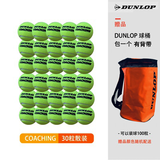 登路普网球ING50%含毛量耐打专业训练使用教练发球机用球行货高级训练球 D coahing 30粒 