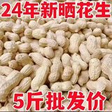 汴姑娘2024年生花生带壳晒干农家自产新货壳薄精选种子高产粉皮生花生 手工精选大颗粒花生*5斤