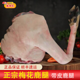 桃李旺（taoliwang）鹿肉新鲜现杀梅花鹿肉 鹿腱子 鹿腿带皮鹿排带皮生鲜鹿肉中秋礼盒 【约7斤】整只带皮梅花鹿腿