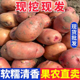 鲜福林 云南红皮黄心小土豆 新鲜时令蔬菜 中果9斤
