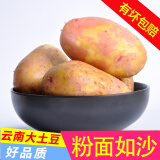 中鲜生 云南红皮黄心小土豆新鲜蔬菜火锅食材 大土豆9斤（比鹅蛋还大）