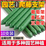 卫东包塑钢管支架杆家用植物花架子室外庭院架杆豆角黄瓜爬藤架番茄架 直径16mm长90cm【10支装】