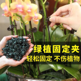 芷郁植物固定器夹子蝴蝶兰花卉支架支撑杆爬藤花卉绿萝固定 100个/包