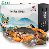 【活蟹】掌昕鲜三门青蟹 红膏大母蟹（1-1.1斤/只）1只 海鲜活螃蟹水产送礼盒源头直发