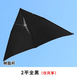 百特潍坊百特风筝王侉子品牌风筝轻薄软伞布碳杆微风风筝 保飞 王侉子2平全黑（仅风筝）