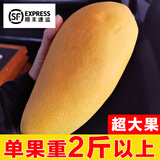 果恋汇（GUOLIANHUI）海南三亚金煌芒新特大芒果新鲜水果当季超大金黄芒整箱批发顺丰 10斤特大果4-6个