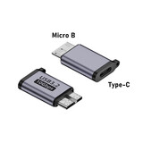 尘土 双头type-c接口全功能转接头 USB3.1公对公100w转换器公转母手机充电延长PD转接 Type-c母转Micro B 【一个装】