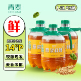 青麦精酿 原浆啤酒14度 鲜啤酒扎啤 全麦生啤 黄啤1.5L大桶装青岛特产 1500mL 3桶 14°P鲜黄啤
