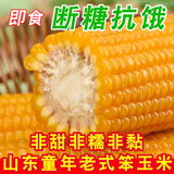 即食特大棒老玉米笨玉米传统老式黄笨玉米不甜不糯不黏粗粮代餐 单根约230g中棒【10根】适中