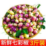 辰实广西新鲜七彩椒（发货中）五彩小辣椒 可做泡椒 3斤