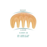 闽宝牛角梳子天然经络梳头皮按摩刮痧梳头部宽齿木梳五经头疗梳 黄五齿按摩梳（厚度1.2cm）