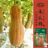 寿禾 蜜本南瓜种子种苗老品种甜糯型菜种籽 潍育黄盾蜜本南瓜种子50粒