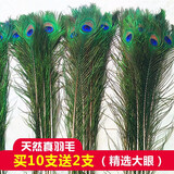 素树家居 天然孔雀羽毛真孔雀毛装饰花瓶专用屏风用孔雀翎尾大眼睛婚庆 25-30厘米眼宽2.5-4的12支