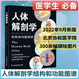 彩色速发人体解剖学图谱人体解刨学结构和功能图谱系统解剖学图谱 32开