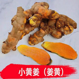 鲜以优广东小姜黄新鲜姜黄宝鼎香月子姜泰式料理咖喱红姜冬阴功调味材料 姜黄 500g