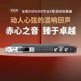 麦乐迪DSP6300前级效果器ktv卡拉ok混响器数字音频处理器混音器家庭影院防啸叫调音台均衡器