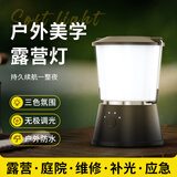 神鱼露营灯户外野营灯帐篷营地灯应急装备挂灯停电家用照明灯泡长续航