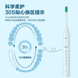 松下ewdc01刷头怎么样(达人对比实测分享买前必看)