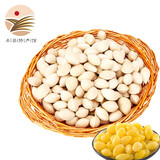 汇尔康2025新货新鲜银杏果1kg生白果徐州邳州特产银杏园带壳生鲜