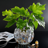 宝兰晶 玻璃水培瓶容器铜钱草植物绿萝花瓶透明客厅插花球摆件小田园风艺术 树叶肚径10cm(小)无植物