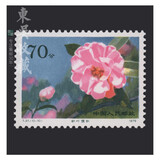 东吴收藏 不成套邮票/散票 集邮 JT票 1974-1991年 之六 T37 山茶花 10-10  70分