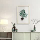 起贝 透明画树叶装饰画玄关客厅挂画北欧小清新绿叶植物装饰画餐厅 光明·镜面草 实木色33x43厘米(2.5厘米厚)