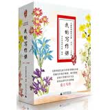 亲近母语 儿童写作指导解决方案：我的写作课小学一至六年级（套装全6册）