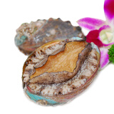 品鲜猫大连冷冻鲍鱼 约400g 8头 袋装海鲜烧烤煲汤冷冻海鲜火锅食材