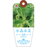 北京东升种业（DS）蔬菜种子水晶冰菜种子 四季蔬菜 家庭阳台 庭院种植60粒/袋