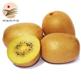 静益乐源黄心猕猴桃 金果奇异果 新鲜水果四川 10枚中果单果70-90g